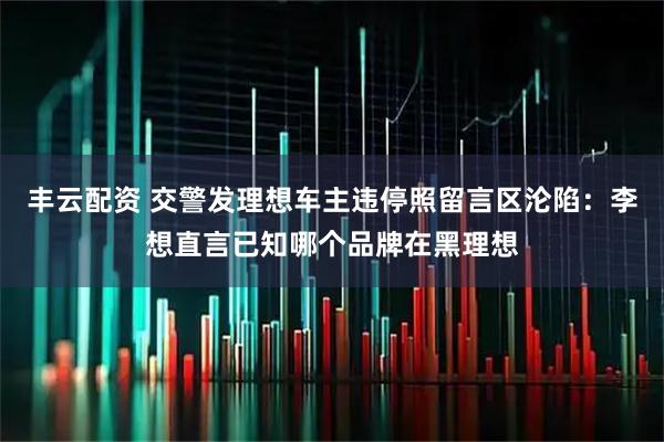 丰云配资 交警发理想车主违停照留言区沦陷：李想直言已知哪个品牌在黑理想